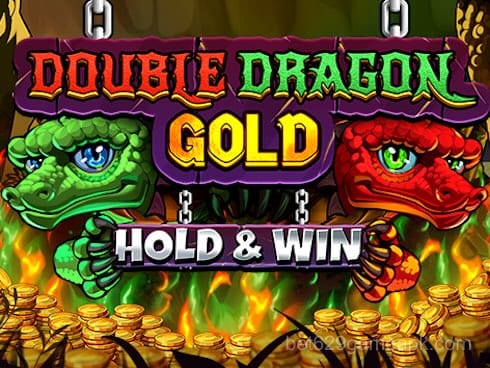 Double Dragon Gold: Hold and Win